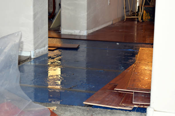 Professional Basement Flood Cleanup technician working in Pleasanton, KS